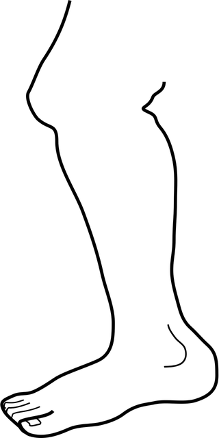 logotipo-coonsulte-noticias-cuidados-de-la-salud coonsulte logo